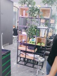 -藤野造型烫染·漂发