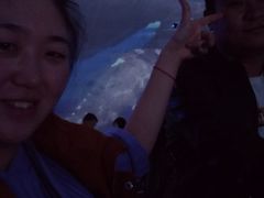 -大连圣亚海洋世界