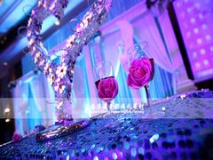 -上海虹梅嘉廷酒店