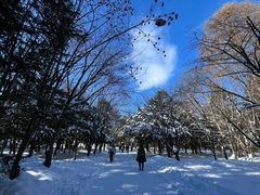 -北海道神宫