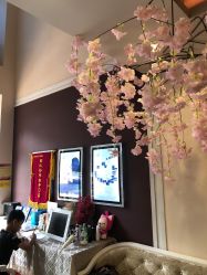 -丝域养发馆