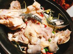 云海肴汽锅鸡-云海肴·汽锅鸡·云南菜(美罗城店)