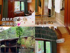 -洛阳白云山景区