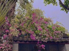 -深圳国际园林花卉博览园