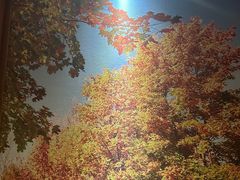 -颐而康按摩(八一桥总店)