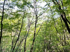 -北京密云天门山风景区