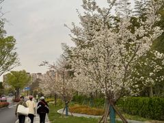 -新江湾城公园