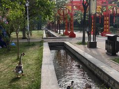 -洛阳市隋唐城遗址植物园