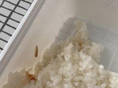 -老华洋饭庄(成林道店)