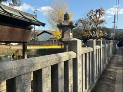 -奈良公园