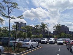 -深圳大学总医院