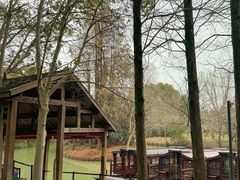 -同里国家湿地公园