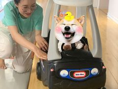-BlueBubble蓝泡泡婴幼儿游泳会所(合川路店)