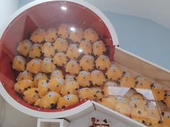 -极橙儿童齿科矫正中心(奥城店)