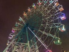 -巨鹏飞梦幻海岸