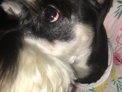 -1013 PET SHOP 宠物商店(近铁城市广场店)