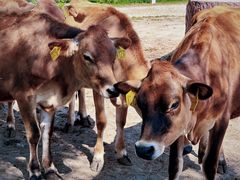 -哈尔滨北方森林动物园