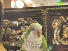 -太平馆西餐厅(北京路店)