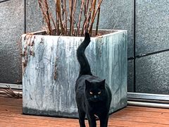 -UNI UNI(环亚凯瑟琳店)