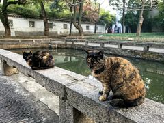 -西园戒幢律寺