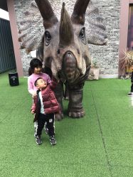 -恐龙探索乐园(磁器口店)