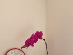 -逸栈养生SPA(望京店)