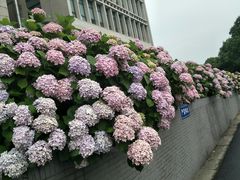 -公益图书馆(江南大学店)