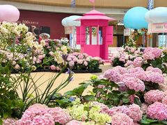 -上海长风大悦城