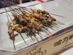 -哈力家·西北烧烤烤串(凤城三路店)
