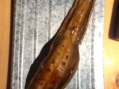 -板长寿司(铜锣湾店)