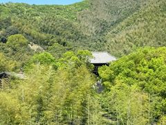 -大唐贡茶院