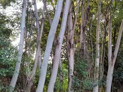 -华南师范大学(广州大学城校区)