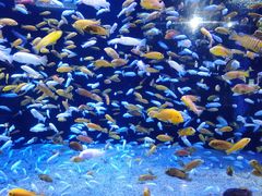 -成都浩海立方海洋公园