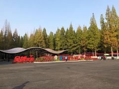 -东平国家森林公园