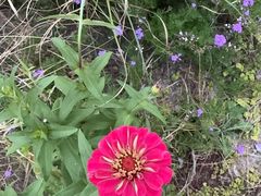 -杭州半山国家森林公园