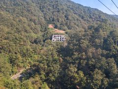 -栾川竹海野生动物园