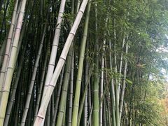 -汇龙潭