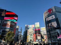-涩谷全向十字路口