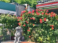 -张记焖窑·十五年专注焖烤(雍和宫店)
