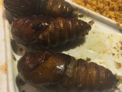 蝉蛹-很久以前羊肉串(大华三路店)