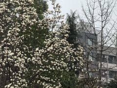 -四川大学(江安校区)
