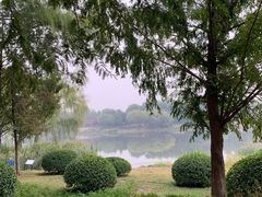 -北坞公园