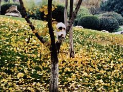 -长安大学(北校区)