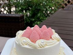 -壹点壹客·生日蛋糕(南山店)