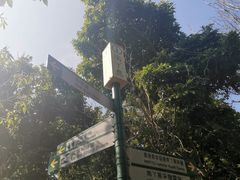 -南丫岛