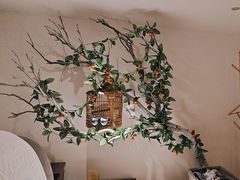 -麦子MaiMassage(打浦桥店)