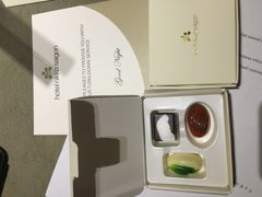-西贡日航酒店