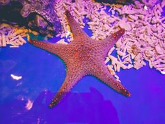 -华夏文旅西安度假区