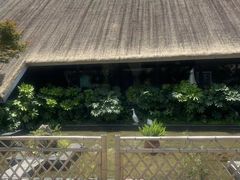 -老房子金沙元年川菜食府·花园餐厅(金沙店)