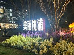 -南翔镇银翔湖公园